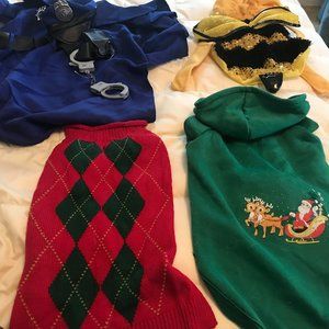 Christmas and Halloween doggy costumes